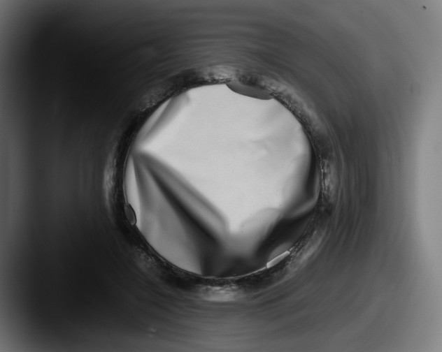 X0000087560548200705181126