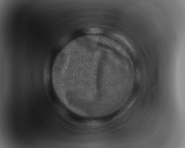 X0000087560549200705181126