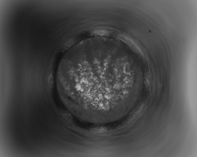 X0000087560551200705181126