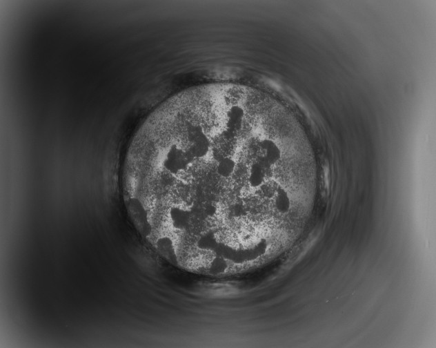 X0000087560553200705181126