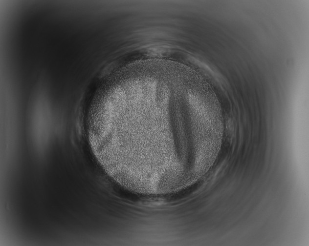 X0000087560554200705181126