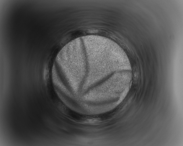 X0000087560555200705181126