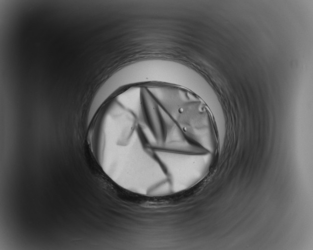 X0000087560556200705181126