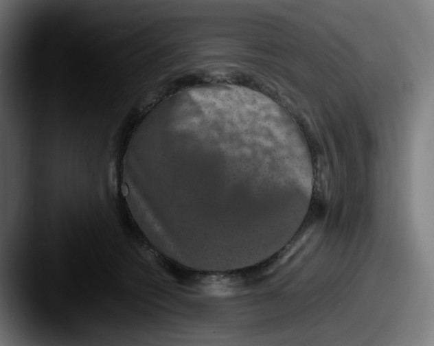 X0000087560562200705181126