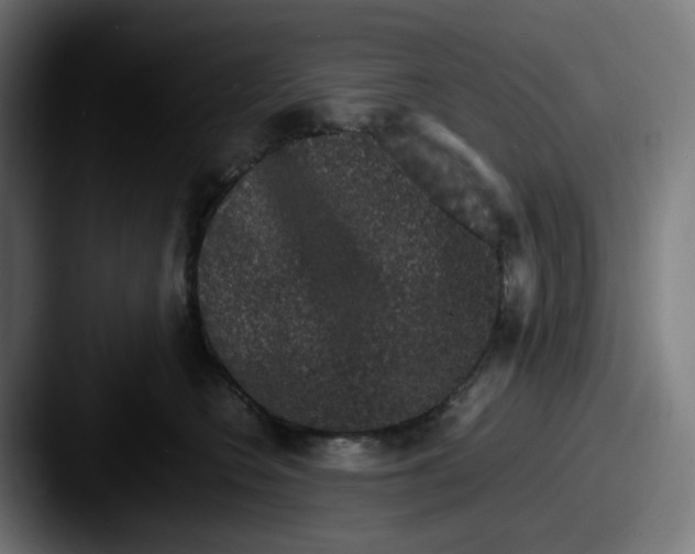 X0000087560566200705181126