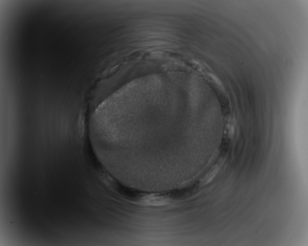 X0000087560568200705181127