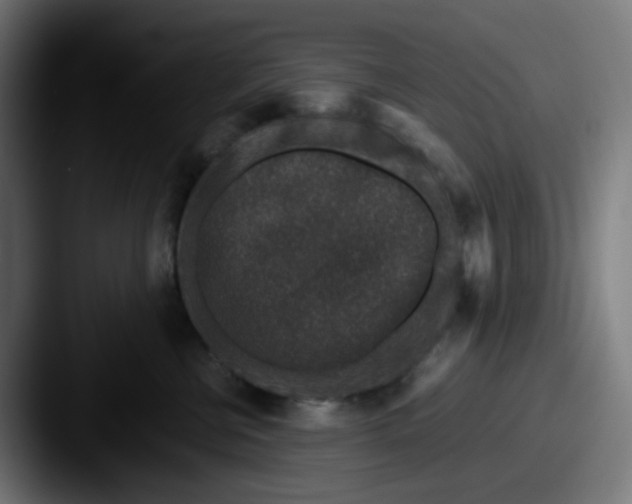 X0000087560570200705181127