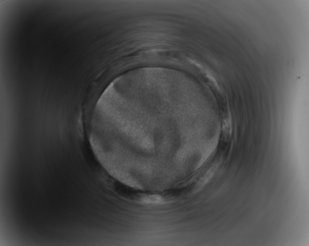 X0000087560572200705181127