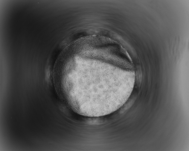 X0000087560574200705181127