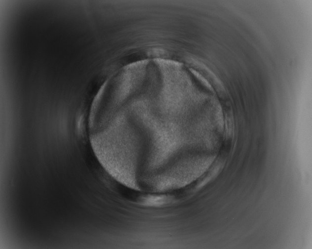 X0000087560575200705181127