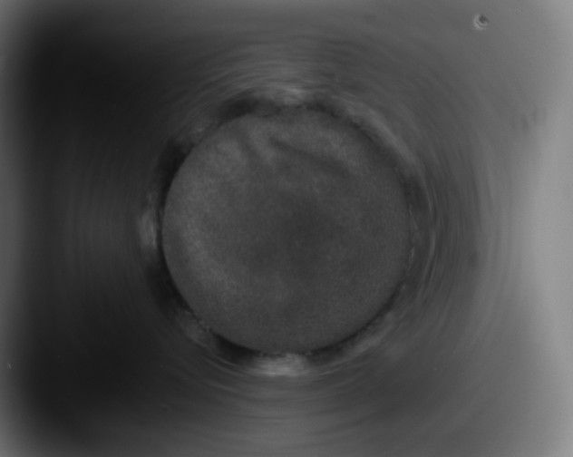 X0000087560576200705181127