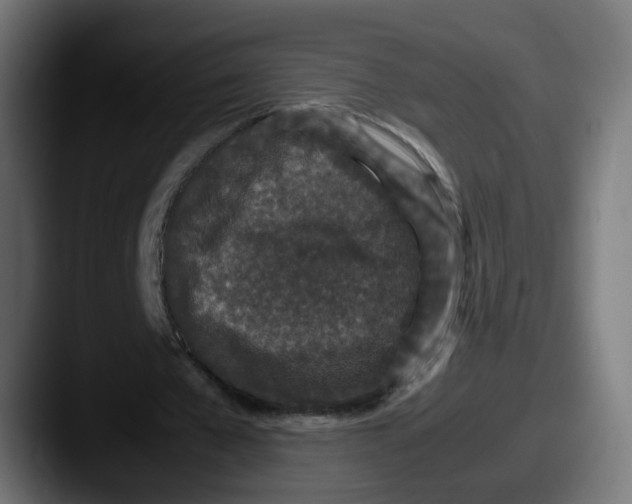 X0000087560577200705181126