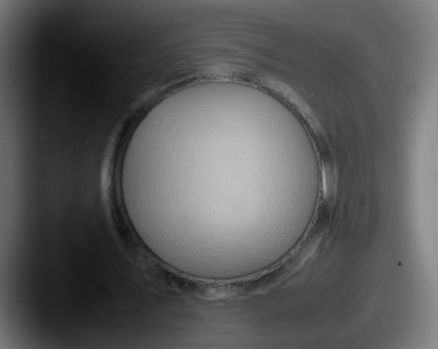X0000087560579200705181126