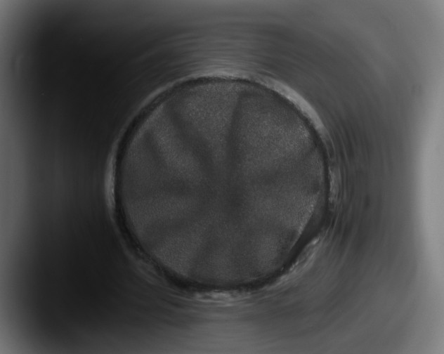 X0000087560580200705181126
