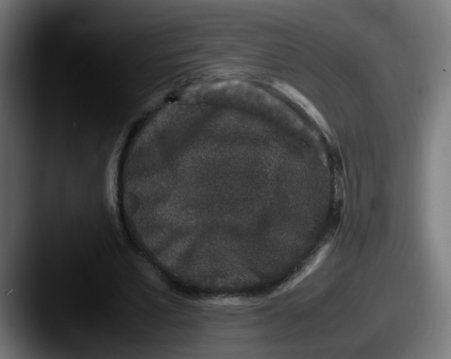 X0000087560581200705181126