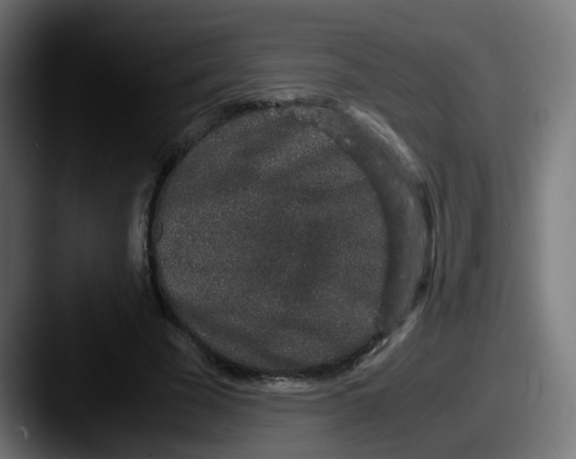 X0000087560585200705181126