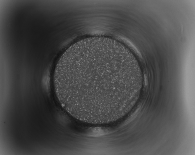 X0000087560588200705181126