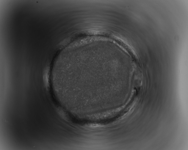X0000087560590200705181126