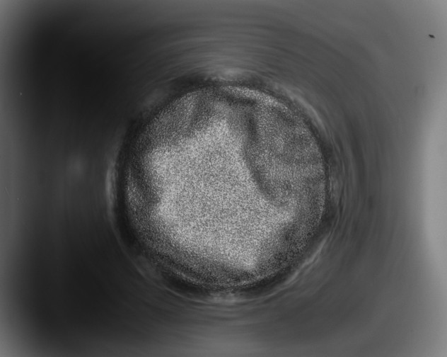 X0000087560591200705181126