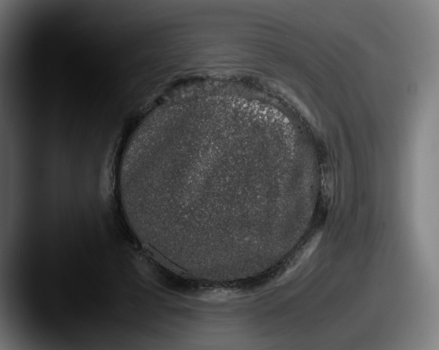 X0000087560593200705181126