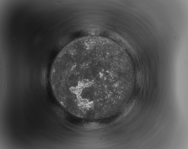 X0000087560594200705181126