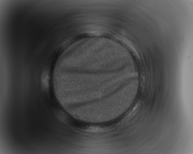 X0000087560596200705181126