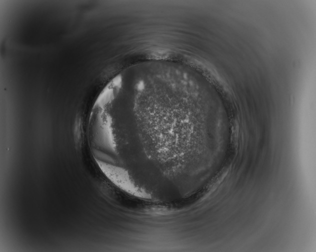 X0000087560598200705181126