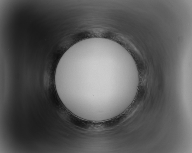 X0000087560599200705181126
