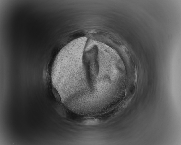 X0000087560601200705181126