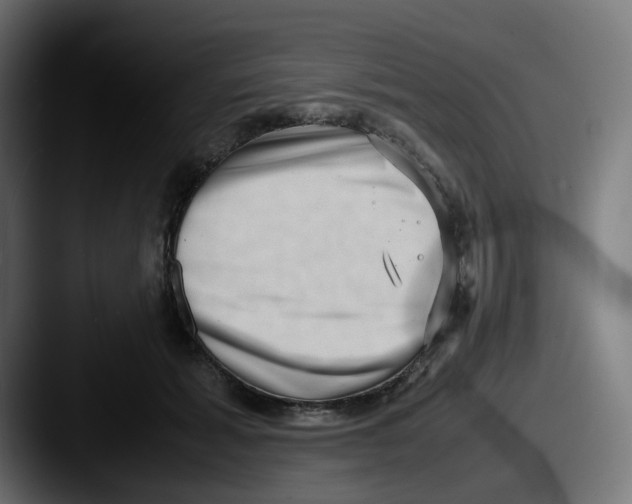 X0000087560605200705181126