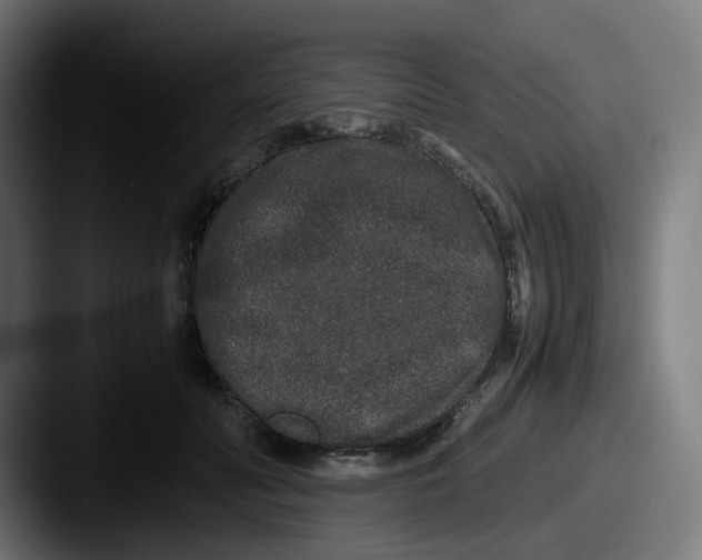 X0000087560606200705181126