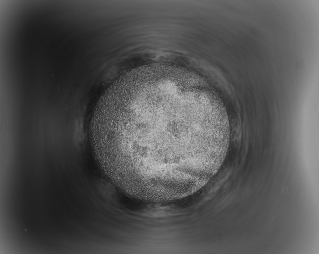 X0000087560607200705181126