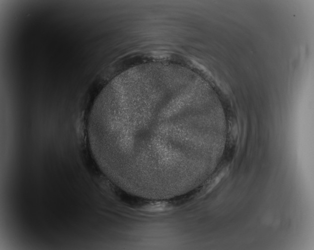X0000087560609200705181126