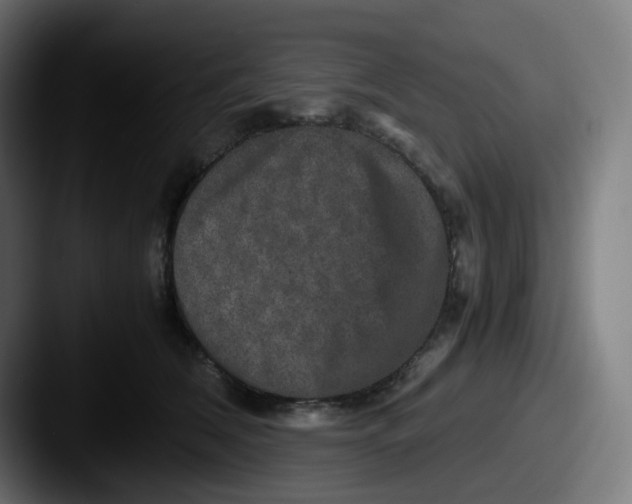 X0000087560612200705181126