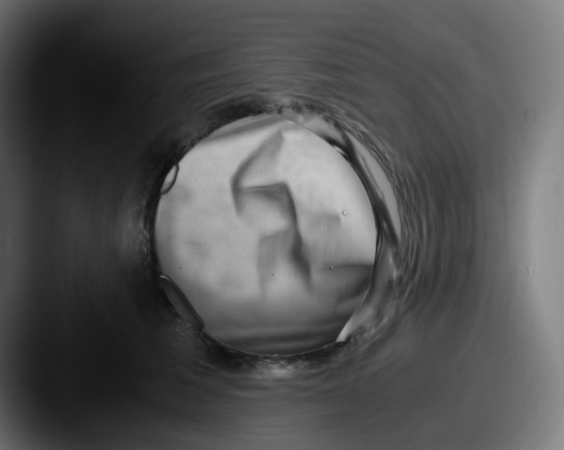 X0000087560613200705181126