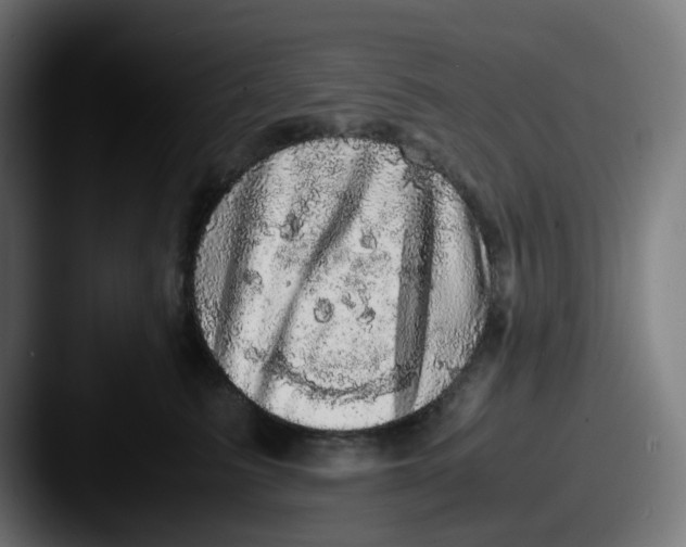 X0000087560615200705181126