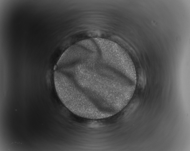X0000087560616200705181126