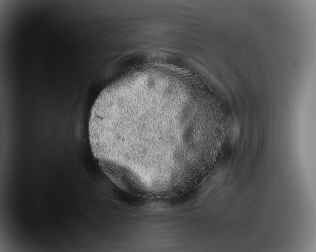 X0000087560619200705181126