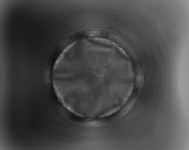 X0000087560620200705181126