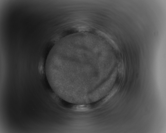 X0000087560622200705181125