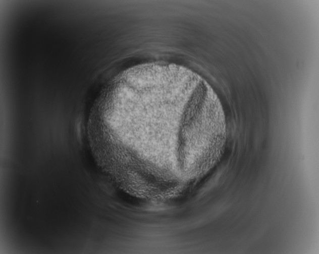 X0000087560623200705181125