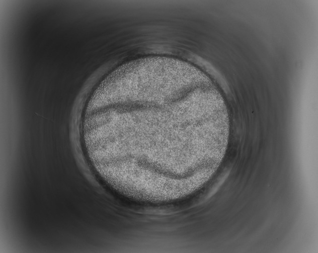 X0000087560625200705181125