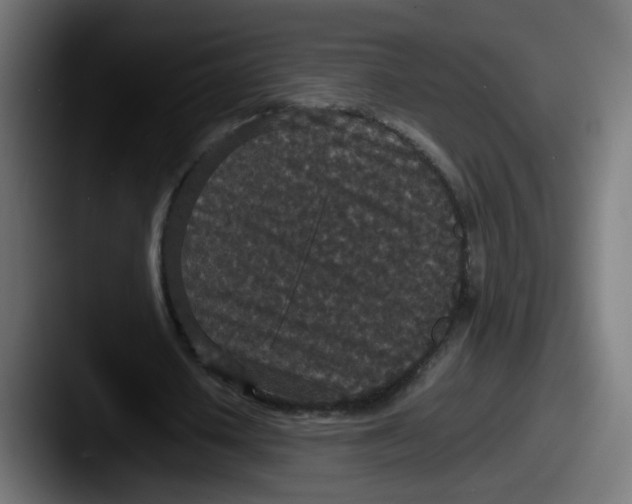 X0000087560626200705181125