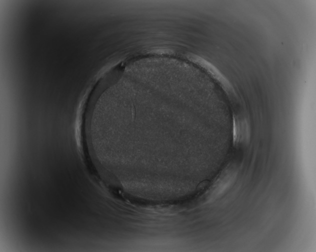 X0000087560627200705181125