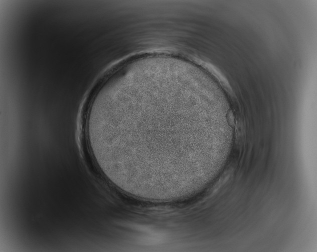 X0000087560628200705181125