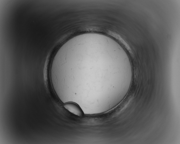 X0000087560629200705181125