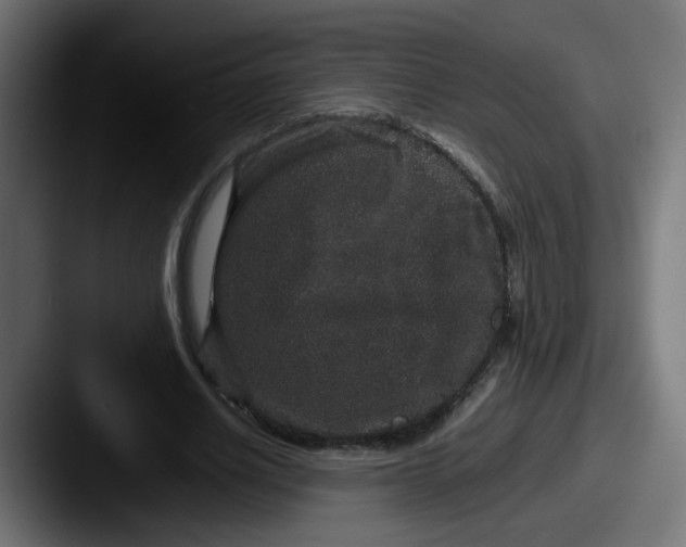 X0000087560630200705181125