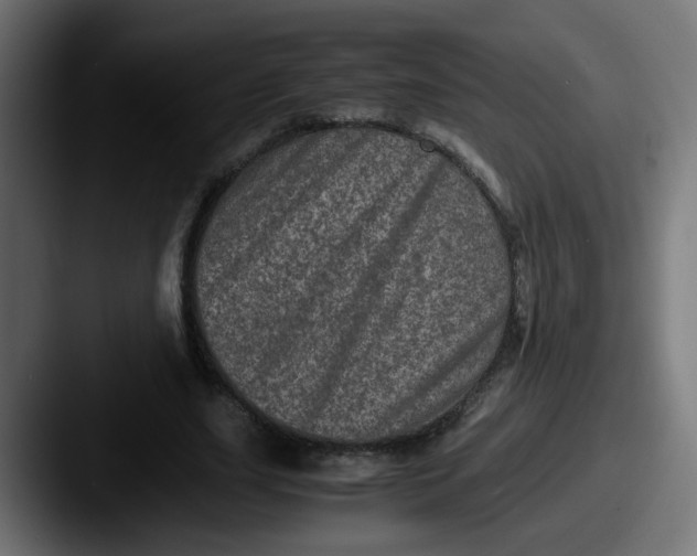 X0000087560631200705181125