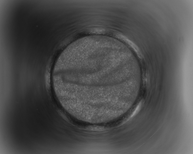 X0000087560633200705181125
