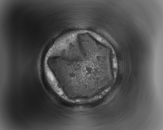 X0000087560634200705181125